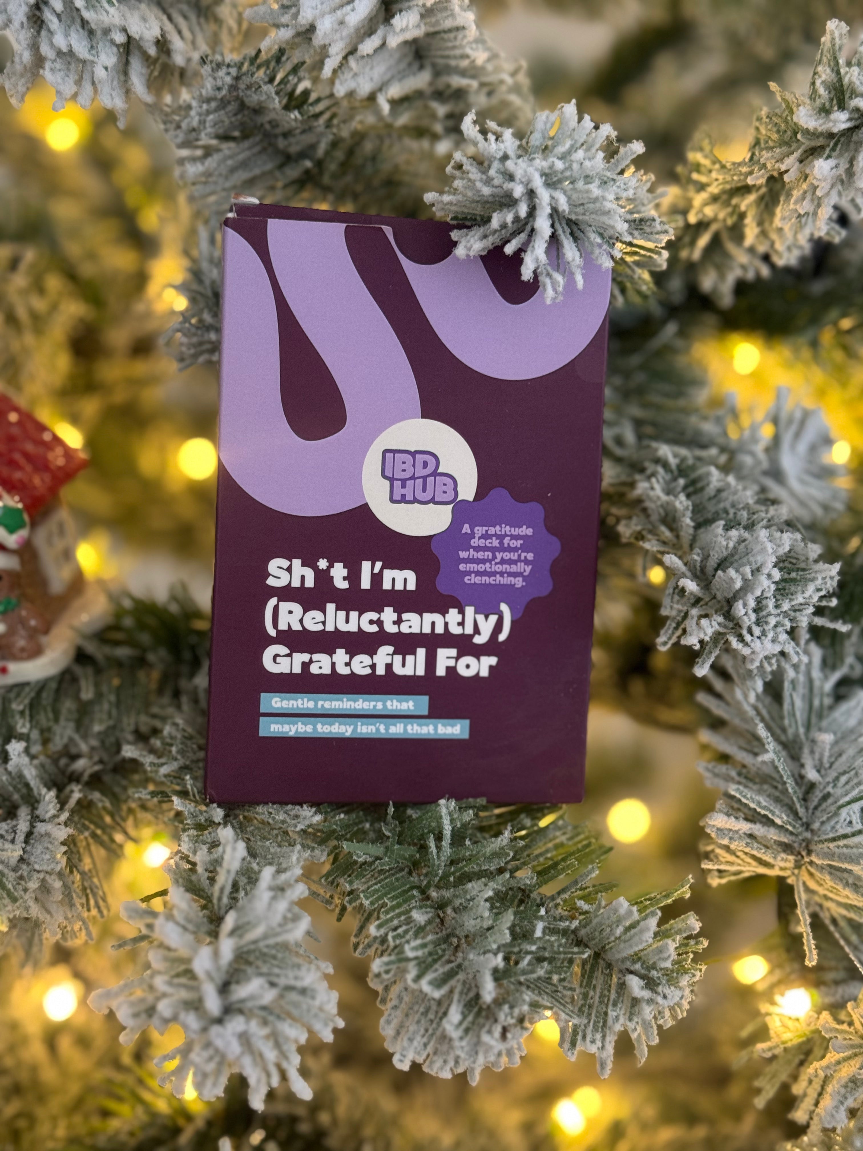 Sh*t I’m (Reluctantly) Grateful For