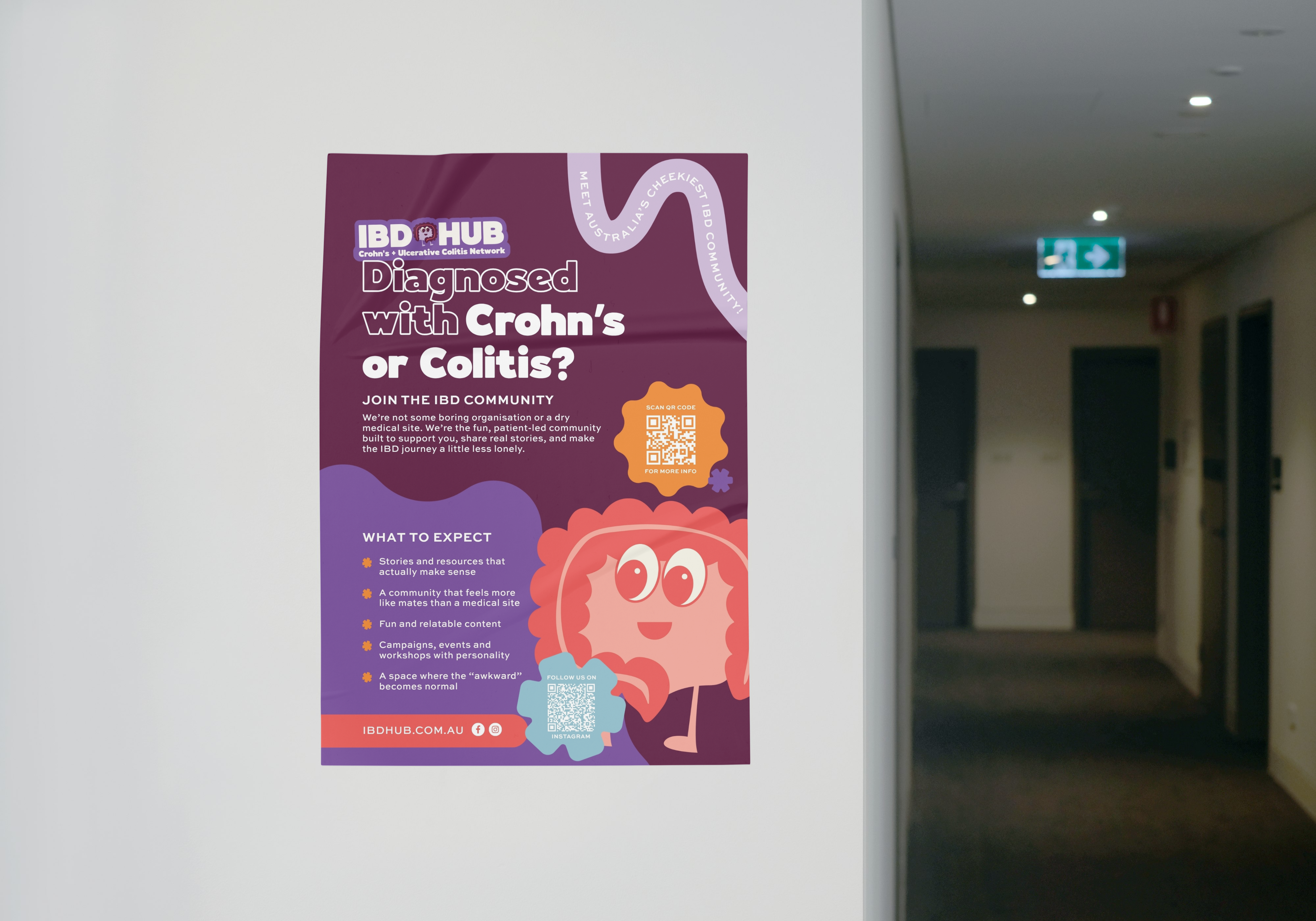 IBD Hub Flyer! Download & Share