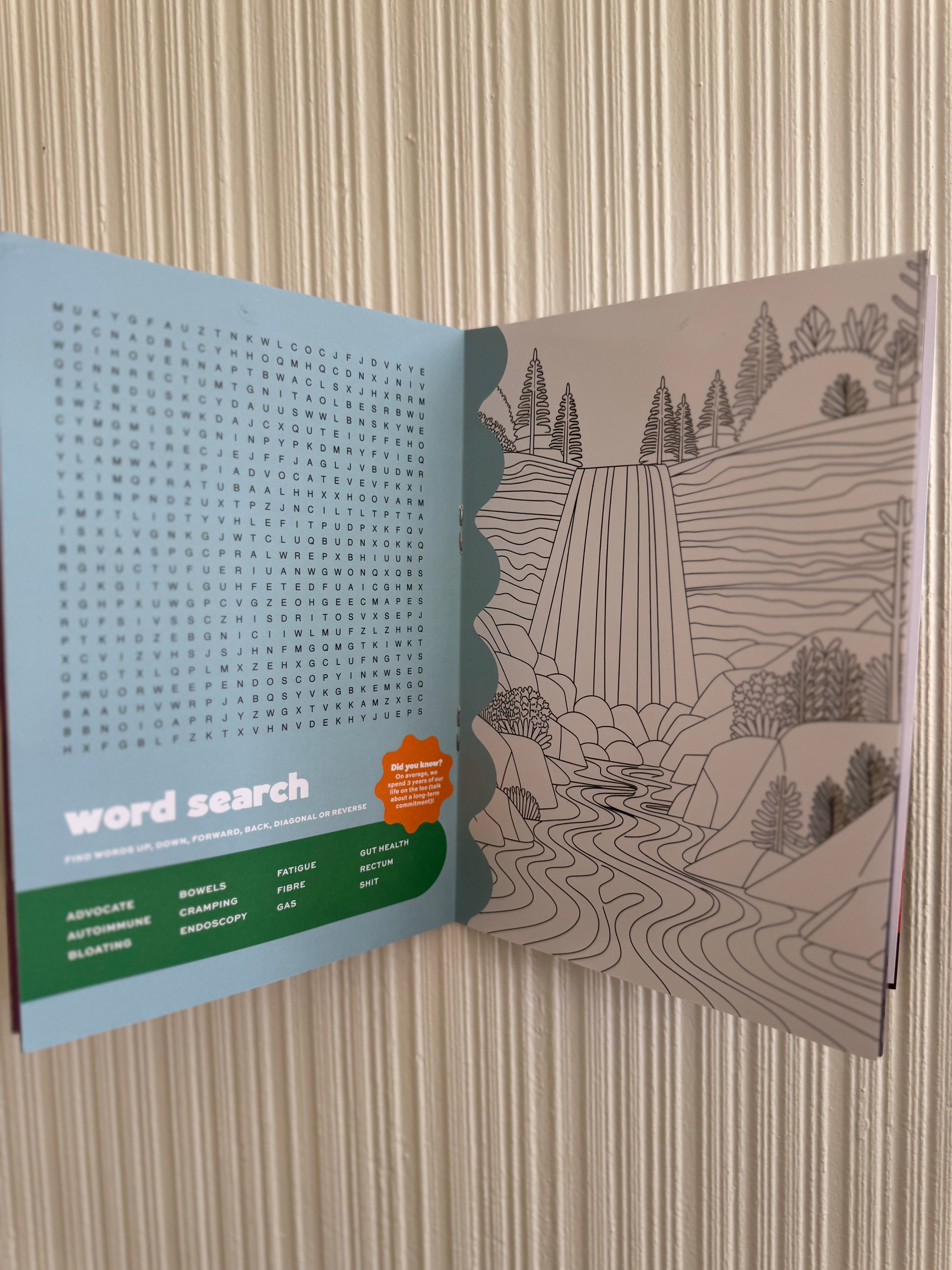 The Brain Break. IBDHub Activity Book!