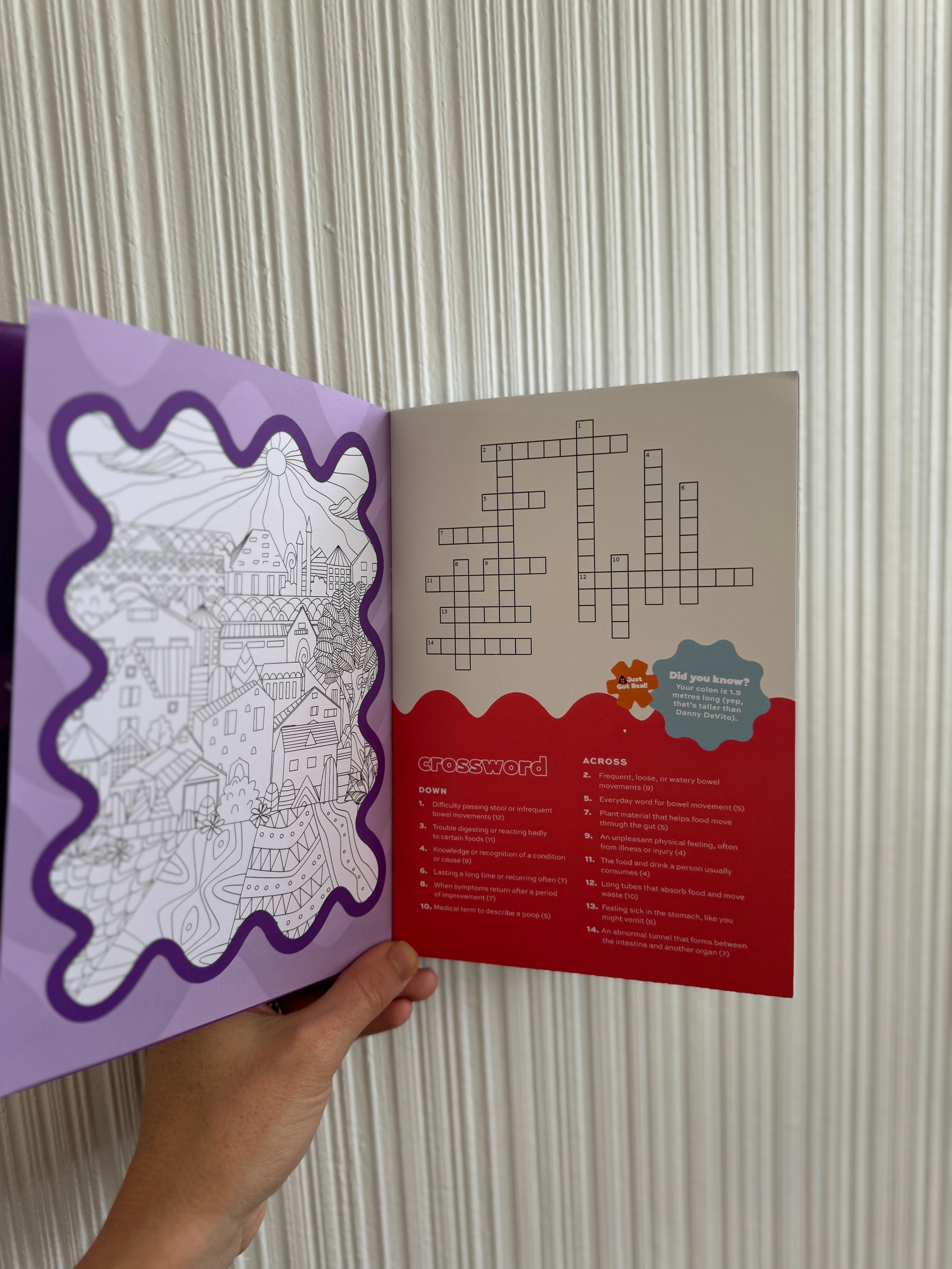 The Brain Break. IBDHub Activity Book!