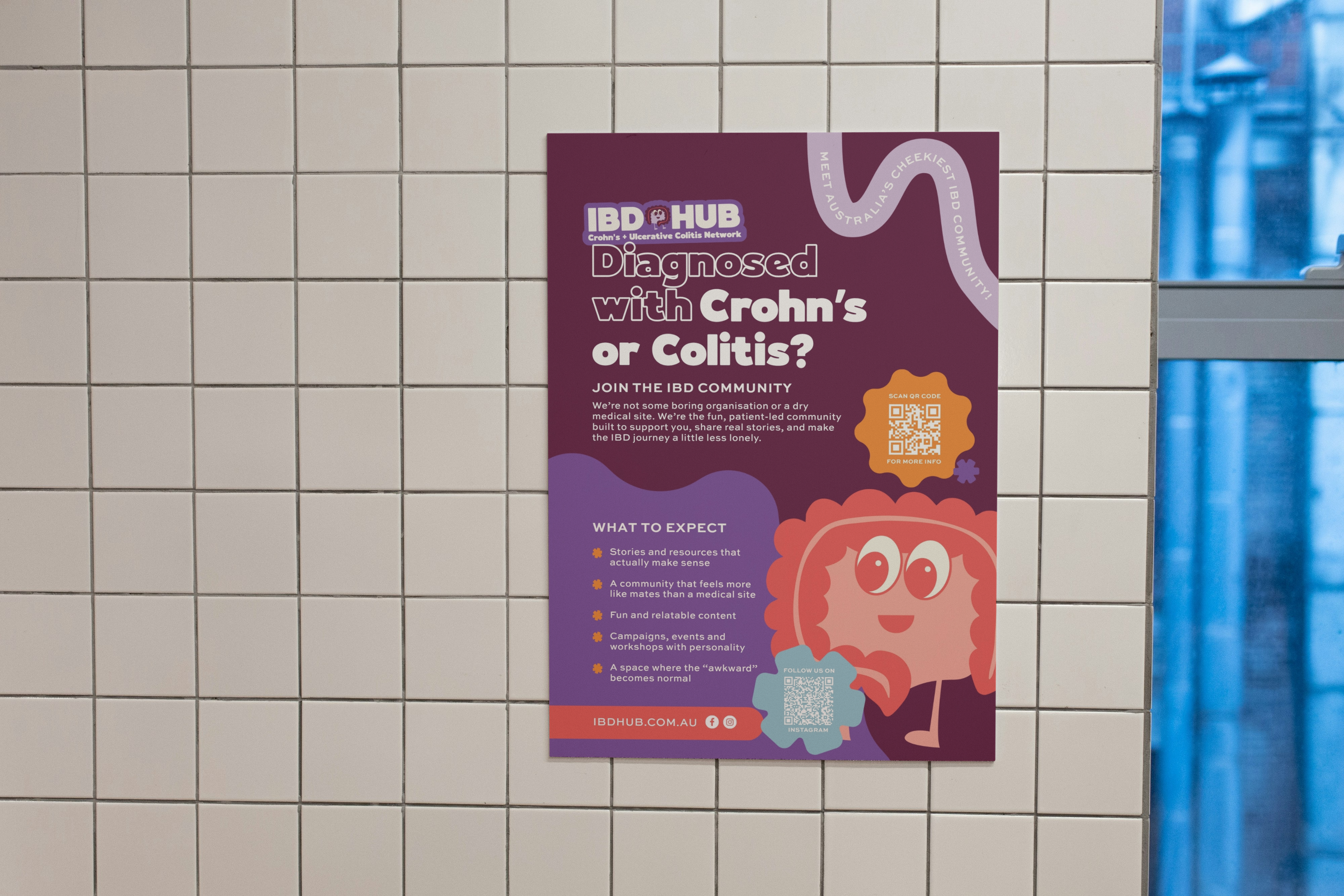 IBD Hub Flyer! Download & Share