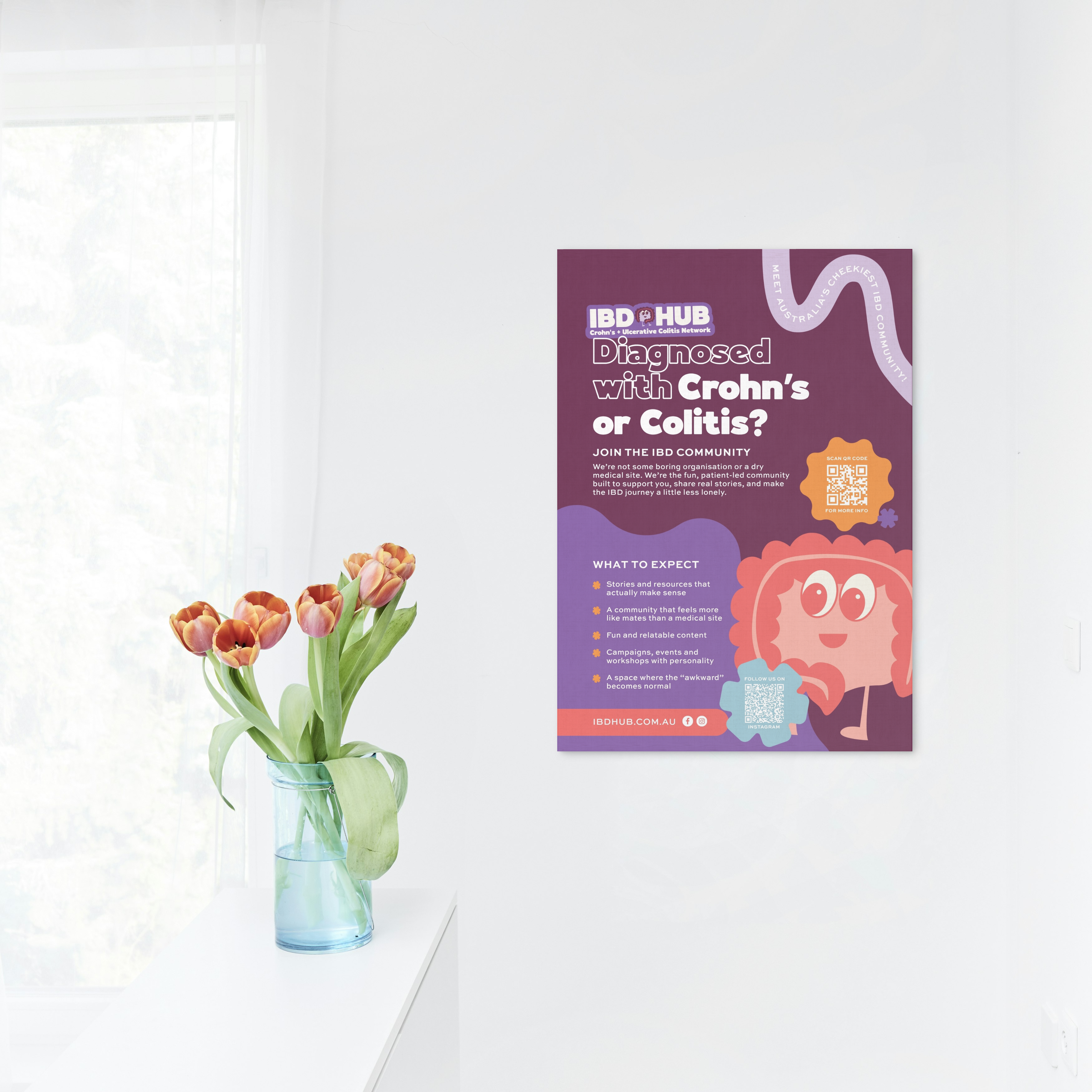 IBD Hub Flyer! Download & Share